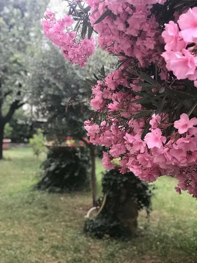 La Casa Di Claudia Villa Florence Holiday home